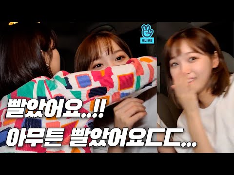 아이콘