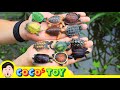 I Hatched Suspicious Eggs Various Turtles Animals Name Kidstoon CoCosToy