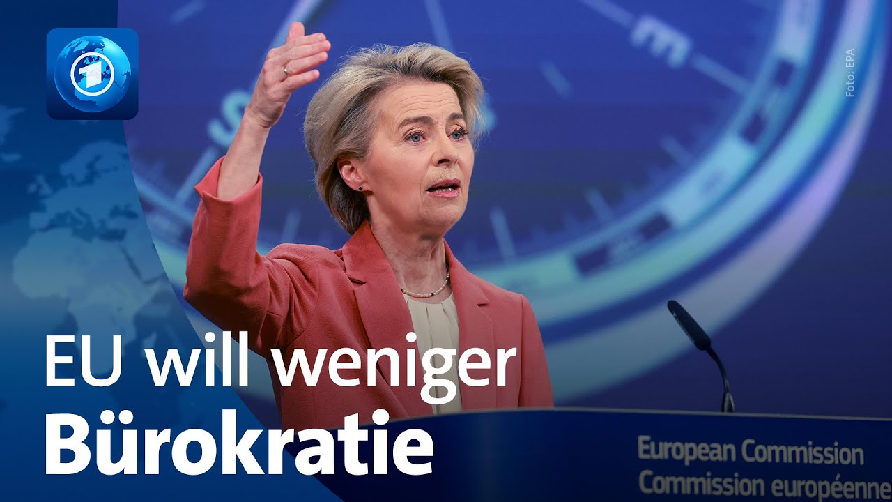 Wirtschaftspläne der EU-Kommission