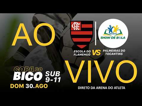 ESCOLA DO FLAMENGO VS PALMEIRAS DO TOCANTINS