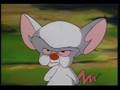 Pinky And The Brain