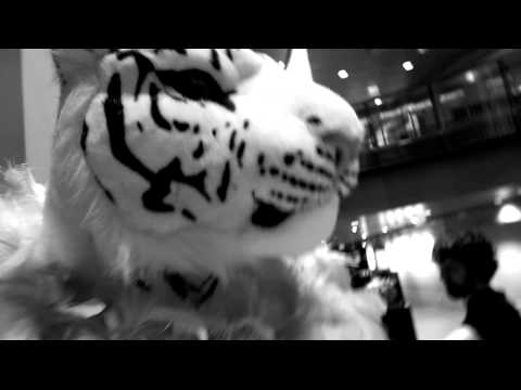 Tammi Goes Terrestrial