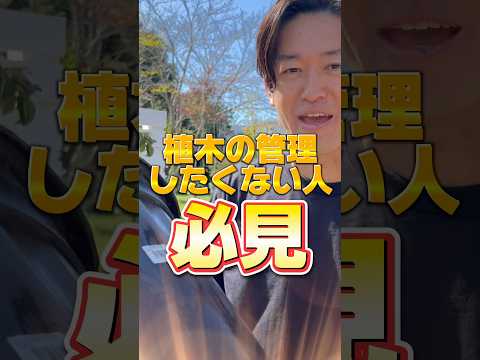 地中および鉢植えのキョウチクトウ用の土はどのような種類ですか?役に立つアドバイスとボーナスコメント！  庭園