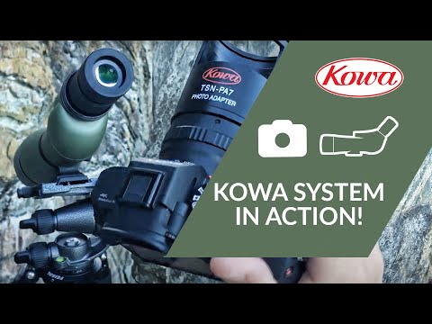 Kowa System Digiscoping in Action