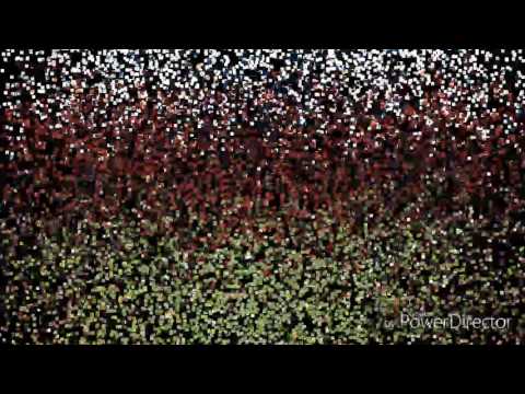 SONGBIRD 2016 CAMPAIGN TRIBUTE