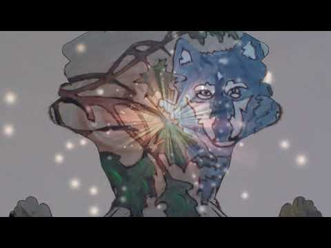 Souhvězdí jisker - Nedvědi - (Music video Bob Martinec)