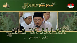 Download lagu ALA YA ALLAH | UST. ADIB BBM | MAULID TENGAH MALAM 1443 H. mp3
