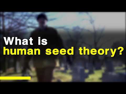 Human Seed Theory