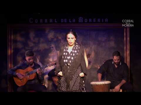 Baile Flamenco por solea de Belén López en Corral de la Morería