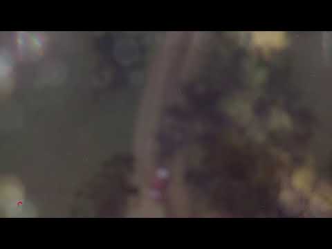 Dirt Rally 2.0 BMW M3 Weekly Stages 01.19.2021 online gaming