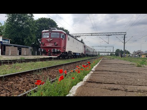 [4K] Red Poppy Flowers and CFR Călători trains in Dolhasca [June, 2020]