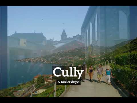 What is Cully? | How to Say Cully in English? | How Does Cully Look?