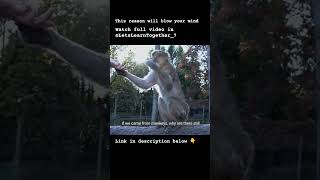 How can humans walk on 2 legs | Human Evolution #animals #science #biology #evolution #nature