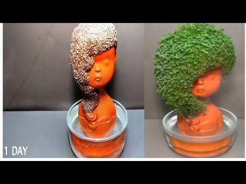 Growing Chia Seeds On Head Planter - Time Lapse - chia Pet-1