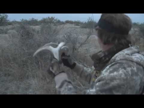 How To Simulate A Big Buck Fight