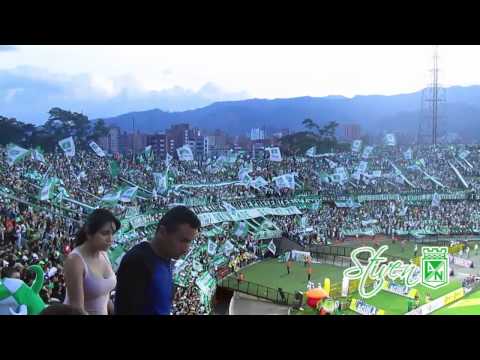 "Cánticos LOS DEL SUR | Atlético Nacional 1 - once caldas 2, Fecha 8 Liga Ãguila 2015-II" Barra: Los del Sur • Club: Atlético Nacional