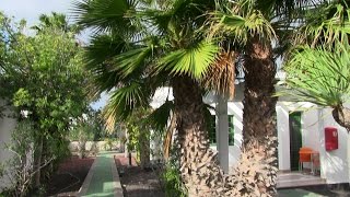 Part 2 of 2 Lanzarote