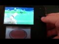 Pokemon Y FART IN YOU FACE