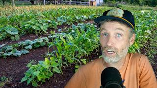 What Frost Does to Potatoes + How We Did Our Hedge Rows
