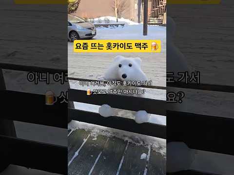 홋카이도의 새로운 맥주 여정: 브레스리노트의 부상