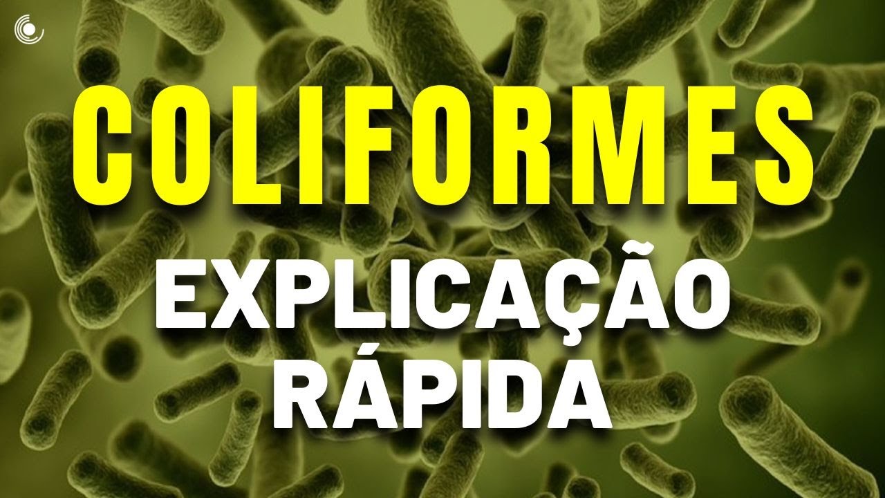 O que são os COLIFORMES | Saiba tudo sobre esses indicadores de contaminação da água
