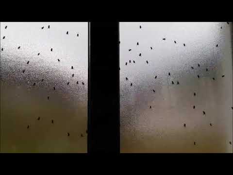 Fenomen straniu la o biserică din Valea Mare, comuna Șanț, Bistrița-Năsăud