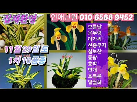 유튜브 썸네일
