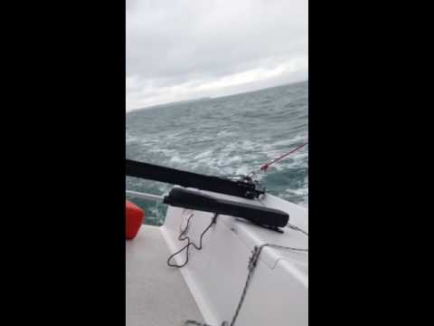 Sailing Pied Piper Auckland New Zealand