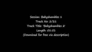 3/21 - Babyshambles - Babyshambles Sessions 1 - 'Babyshambles 2'  - Track 3/21