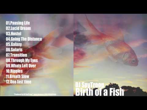 DJ SpyTroop - Birth of a Fish (2009)