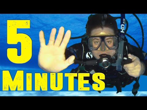 PADI Open Water: How to Scuba Dive in 5 Minutes