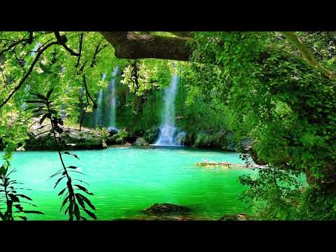 Older (Nicholas Gunn & Alina Renae).