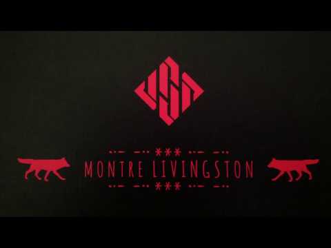 USD Sway Montre Livingston Pro skates