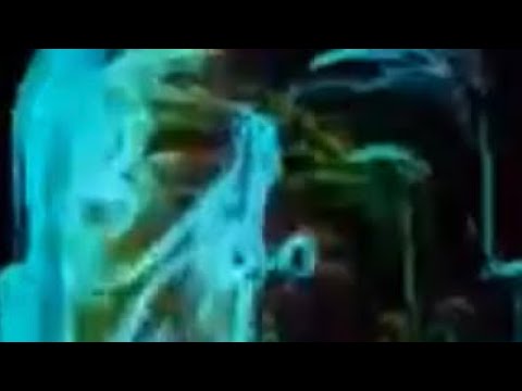 RINO DJ SET AFROTECH 2019-04