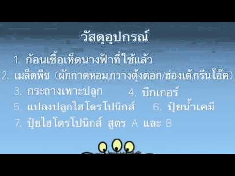 ในอวัยวะเพศของจุดสีแดงเล็ก ๆ บนที่ การใช้ครีมแรง