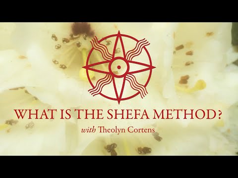 What is the Shefa Method?