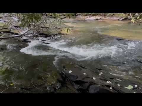 44AC Banks Rd, Ellijay, GA - Tails Creek Frontage - 2