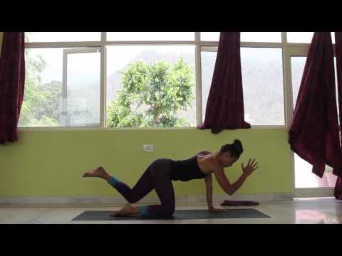 Energizing 60 minute Hatha Flow Yoga