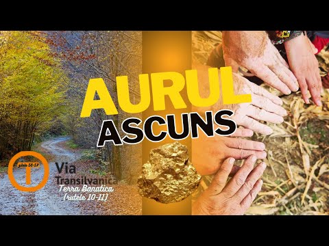 Legendele aurului pe Via Transilvanica [Ep.47: Canton Coșava - Prigor - Crușovăț]