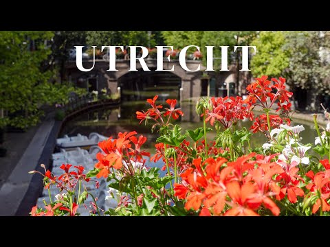 Get to know Utrecht through a Local’s Lens - Travel Guide