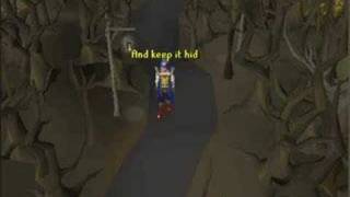 My idea of fun runescape music video