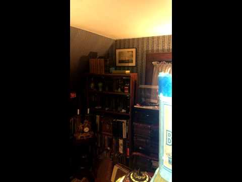 Nothing does - does like it used to Do Do Do.. California Ramblers