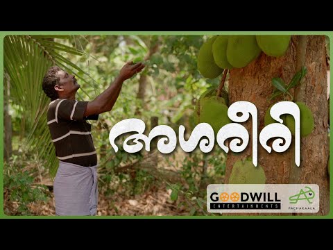 Ashareeri | Malayalam Short Film | Lajesh Lakshmanan | Sujith Maanchery