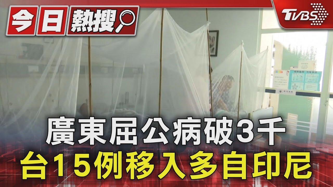 屈公病恐引發全球大流行!WHO緊急警告 台15例創6年新高