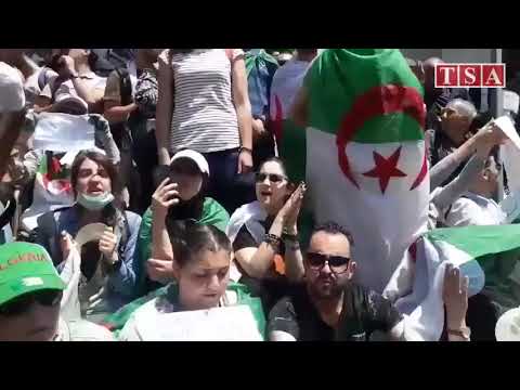 Alger, 14 mai : les étudiants scandent "libérez l'Algérie"
