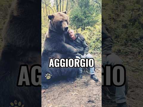 Il mio amico orso 🐻 #shorts