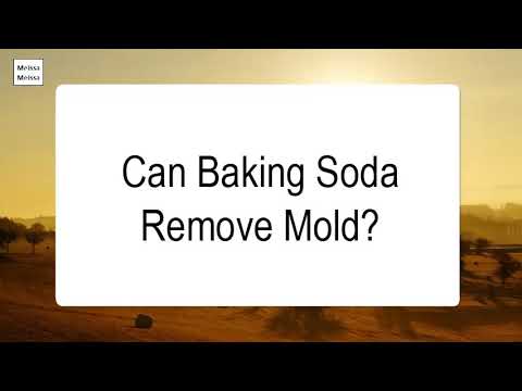 download lagu mp3 mp4 Baking Soda Against Mold, download lagu Baking Soda Against Mold gratis, unduh video klip Baking Soda Against Mold