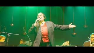Big Band Šentjur & Oto Pestner - Green, Green Grass of Home