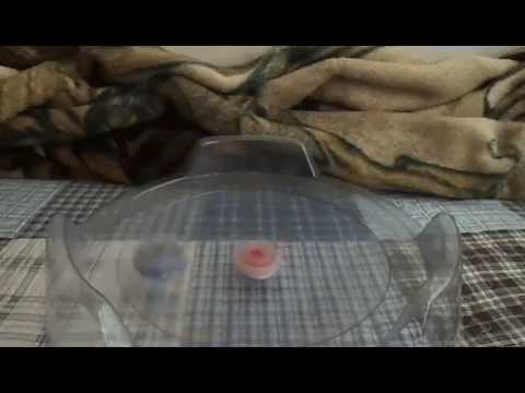 spriggan spread fusion vs valkyrie wing accel