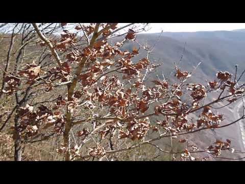 Moselsteig - Etappe 18: Blick ins Moseltal